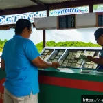 Home 17 마셜 제도에서의 금융 및 환전 정보 - A bustling local currency exchange booth in Majuro, Marshall Islands, showing a professional clerk c...